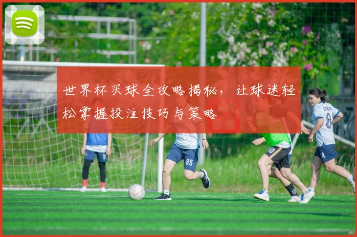 世界杯买球全攻略揭秘，让球迷轻松掌握投注技巧与策略